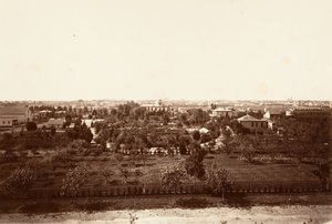Oakland, dall