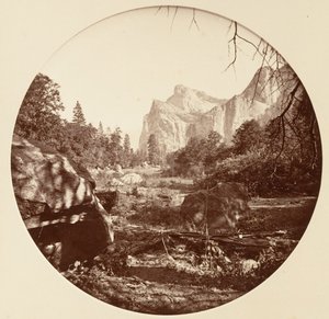 [Parco Nazionale di Yosemite, California], ca. 1878 da Carleton Emmons Watkins