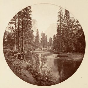 [Parco Nazionale di Yosemite, California], ca. 1878 da Carleton Emmons Watkins