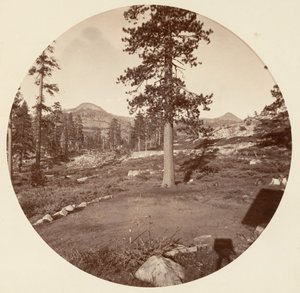 Parco Nazionale di Yosemite, California, ca. 1878 da Carleton Emmons Watkins