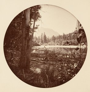 Parco Nazionale di Yosemite, California, ca. 1878 da Carleton Emmons Watkins