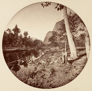[Parco Nazionale di Yosemite, California], ca. 1878 da Carleton Emmons Watkins