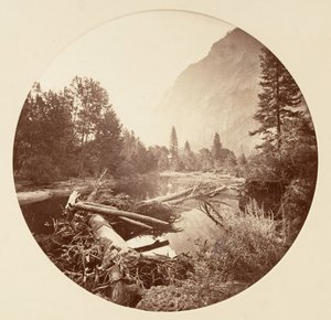 [Parco Nazionale di Yosemite, California], ca. 1878 da Carleton Emmons Watkins