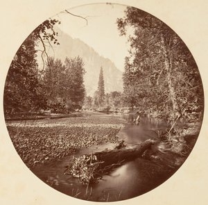 Parco Nazionale di Yosemite, California, ca. 1878 da Carleton Emmons Watkins
