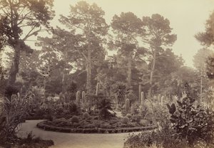  da Carleton Watkins
