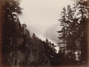Grande fiume, dalla Rancherie, Mendocino, California da Carleton Watkins