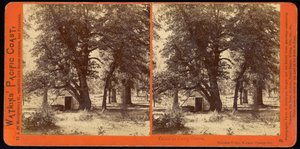 Capanna nel Camp Grove, Yosemite Valley, Contea di Mariposa, Cal da Carleton Watkins