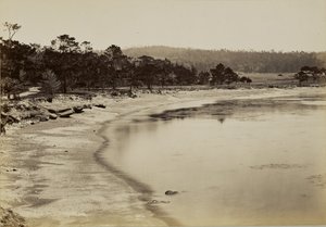 [Vista sulla costa nei pressi di Monterey] da Carleton Watkins