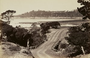 [Vista della costa vicino a Monterey] da Carleton Watkins