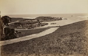 [Vista sulla costa nei pressi di Monterey] da Carleton Watkins
