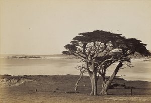  da Carleton Watkins