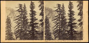 Half Dome e Vernal Fall, dal South Fork