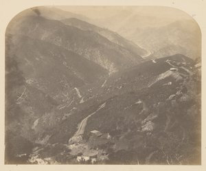 Josephine e Pino da Carleton Watkins