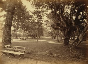 [Monterey, California. Hotel Del Monte, Lawn View.] da Carleton Watkins