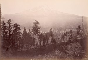  da Carleton Watkins