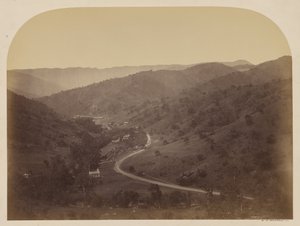 Nuovo Almaden