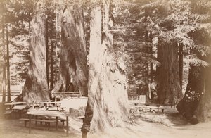  da Carleton Watkins