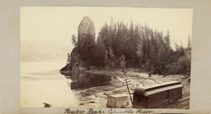  da Carleton Watkins