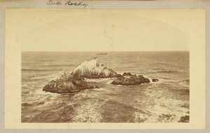 Rocce di foca. da Carleton Watkins