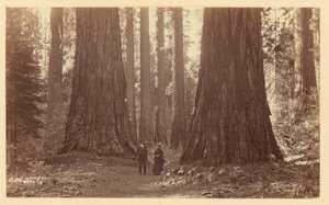  da Carleton Watkins