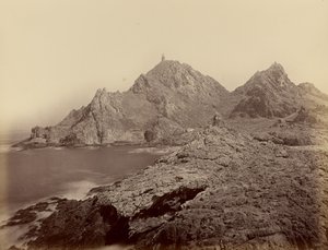 [Vista dalle Isole Sugar Loaf, Farallons] da Carleton Watkins
