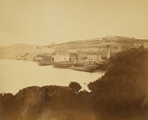 [Lanificio, San Francisco] da Carleton Watkins