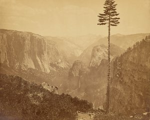 [La Yosemite Valley vista dal sentiero Mariposa] da Carleton Watkins