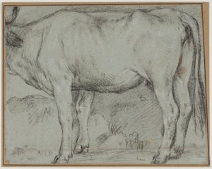 Mucca in piedi (testa mancante) da Carlo Caliari