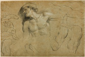 Studi di mani, spalle e una gamba da Carlo Cignani