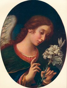 Angelo dell