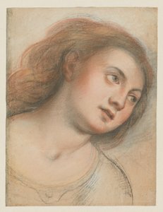 Studio per Testa Femminile (verso); Testa di Cristo (recto) da Carlo Francesco Nuvolone