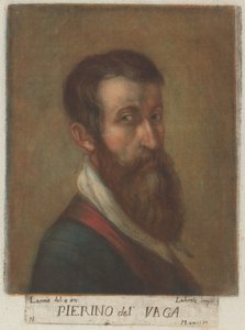 Pierino del Vaga da Carlo Lasinio