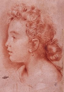 Ritratto di Faustina Maratti da Carlo Maratta