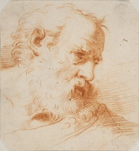 Testa di un uomo barbuto che guarda a destra da Carlo Maratti