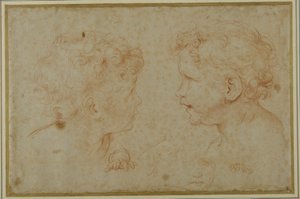 Studi della testa e della mano sinistra di un putto