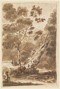 Figura nella foresta da Carlo Marchionni
