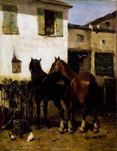 Cavalli da posta