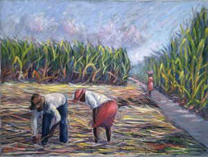 Raccolta della canna da zucchero da Carlton Murrell