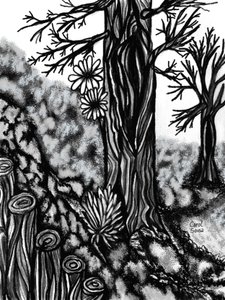 Disegno al carboncino digitale 1