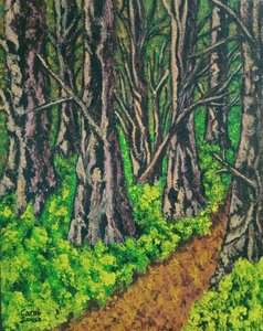Sentiero nel bosco da Carol Sousa Cuello