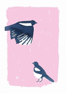 Pink Sky Magpies da Carola Cedell