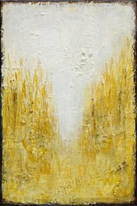 Luce del campo dorato