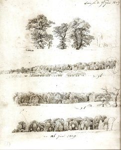 Studi sugli alberi 1809 da Caspar David Friedrich