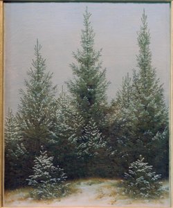 Bosco di abeti nella neve