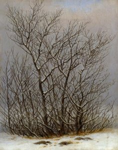 Cespuglio nella neve da Caspar David Friedrich