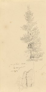 Tedesco: Studie mit Fichten und Felsen Studio di abeti rossi e di una roccia da Caspar David Friedrich