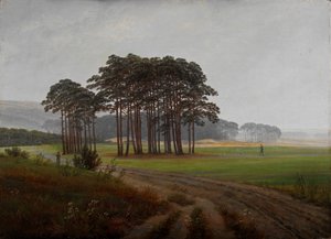 Momenti della giornata: il mezzogiorno da Caspar David Friedrich