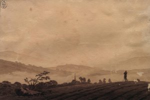 Mattina nebbiosa