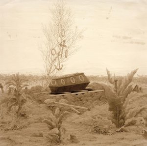 Bara su una tomba fresca da Caspar David Friedrich