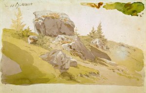 Prato con rocce nei Monti dei Giganti da Caspar David Friedrich